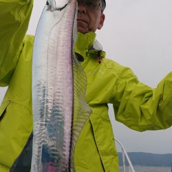シースナイパー海龍 釣果
