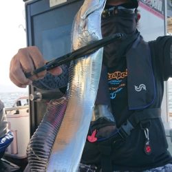 シースナイパー海龍 釣果