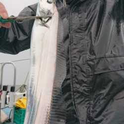 シースナイパー海龍 釣果