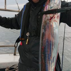 シースナイパー海龍 釣果