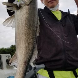 アマテラス 釣果