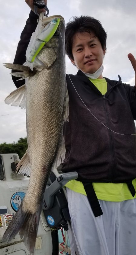 アマテラス 釣果