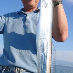 シースナイパー海龍 釣果