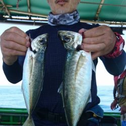 小島丸 釣果
