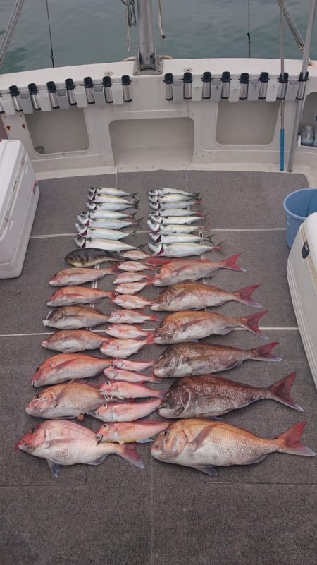 ARCADIAⅡ (アルカディアⅡ) 釣果