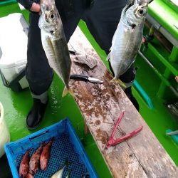 小島丸 釣果