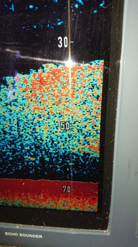 金沢八景鴨下丸 釣果