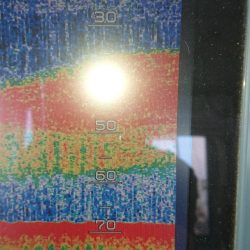 金沢八景鴨下丸 釣果