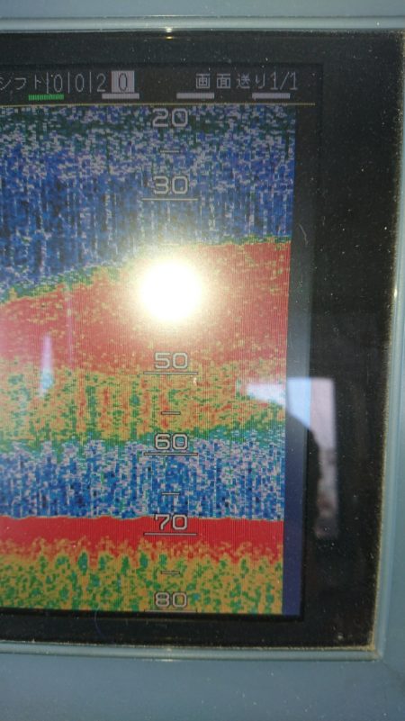 金沢八景鴨下丸 釣果