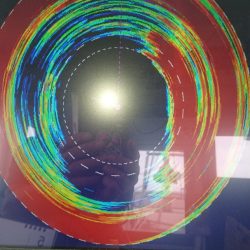 金沢八景鴨下丸 釣果