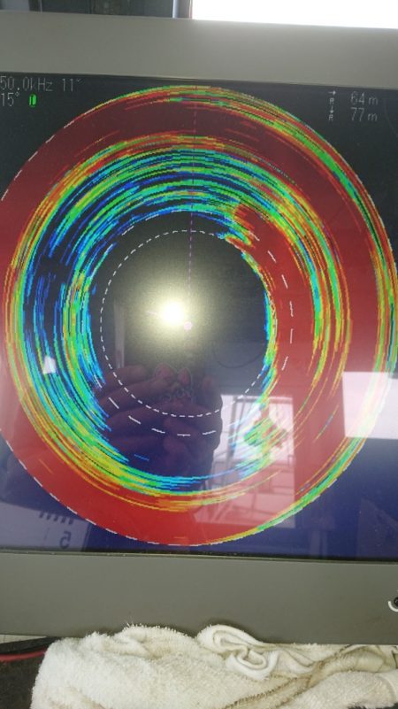 金沢八景鴨下丸 釣果