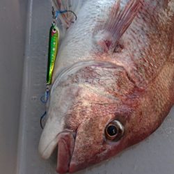 遊漁船ブルーウッズ 釣果