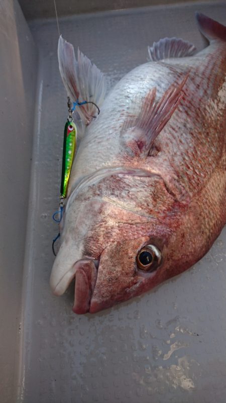 遊漁船ブルーウッズ 釣果