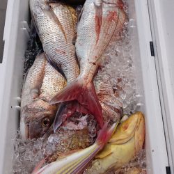 海皇丸 釣果