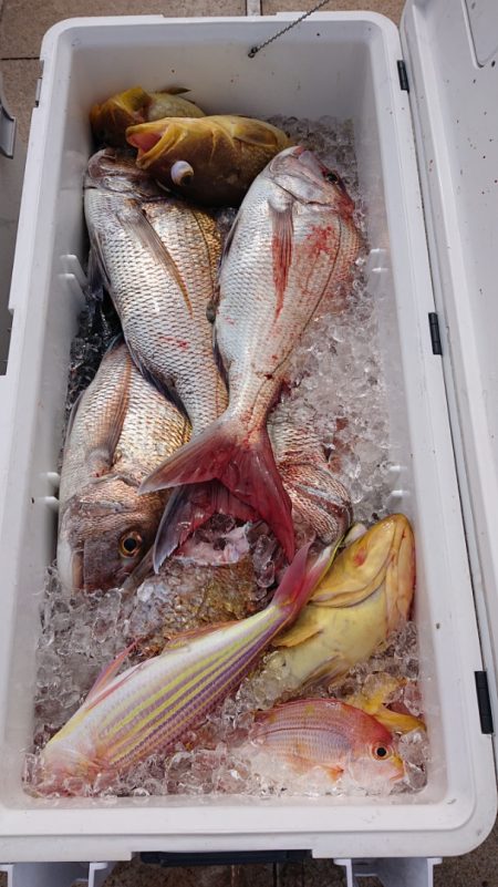 海皇丸 釣果