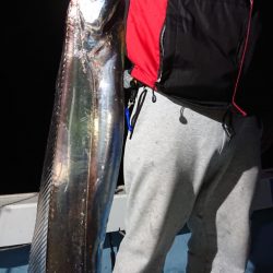 シースナイパー海龍 釣果