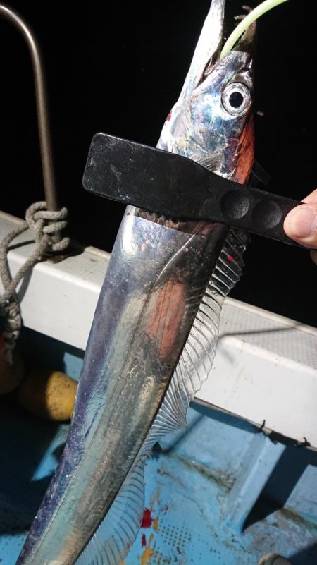 シースナイパー海龍 釣果