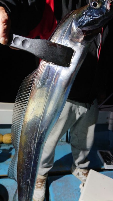 シースナイパー海龍 釣果