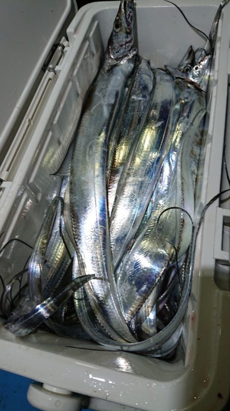 シースナイパー海龍 釣果