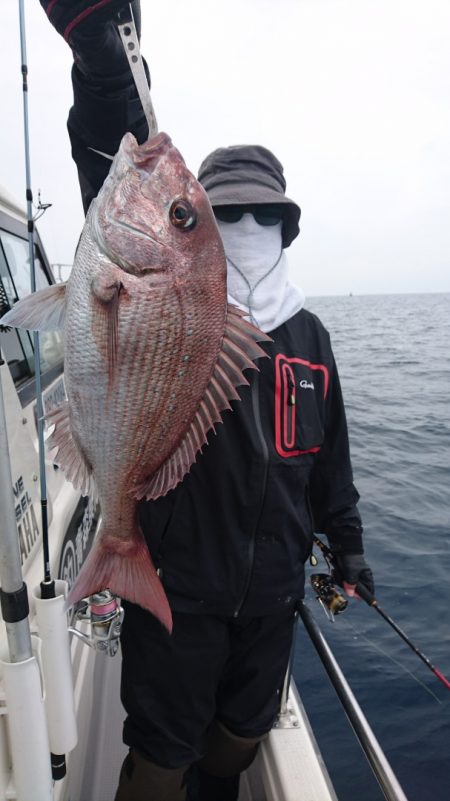 遊漁船ブルーウッズ 釣果