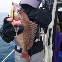 遊漁船ブルーウッズ 釣果