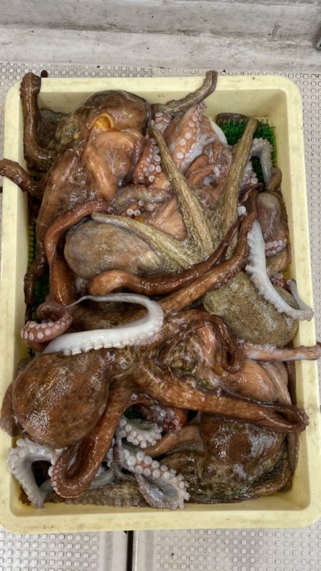 釣人家 釣果