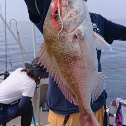 ARCADIAⅡ （アルカディアⅡ） 釣果