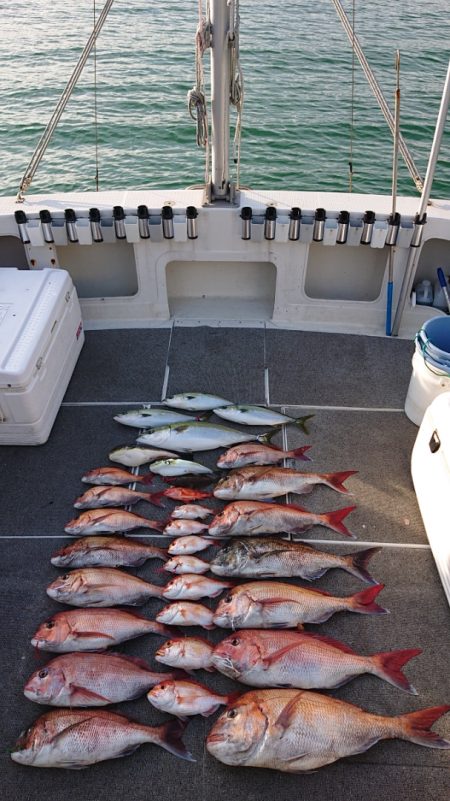 ARCADIAⅡ （アルカディアⅡ） 釣果