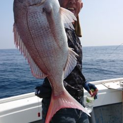 だて丸 釣果