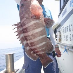 だて丸 釣果