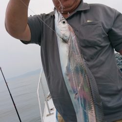 シースナイパー海龍 釣果