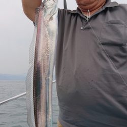 シースナイパー海龍 釣果