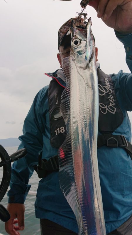 シースナイパー海龍 釣果