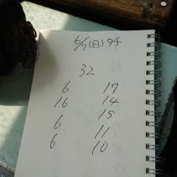 金沢八景鴨下丸 釣果