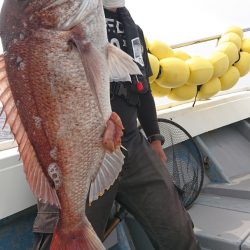 だて丸 釣果