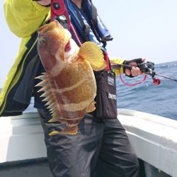 だて丸 釣果
