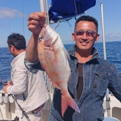 ARCADIAⅡ (アルカディアⅡ) 釣果