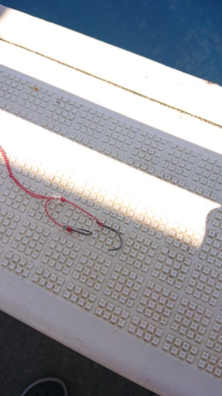 ARCADIAⅡ (アルカディアⅡ) 釣果