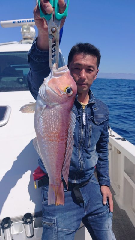 ARCADIAⅡ (アルカディアⅡ) 釣果