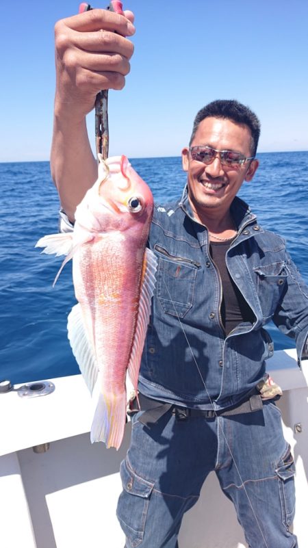 ARCADIAⅡ (アルカディアⅡ) 釣果