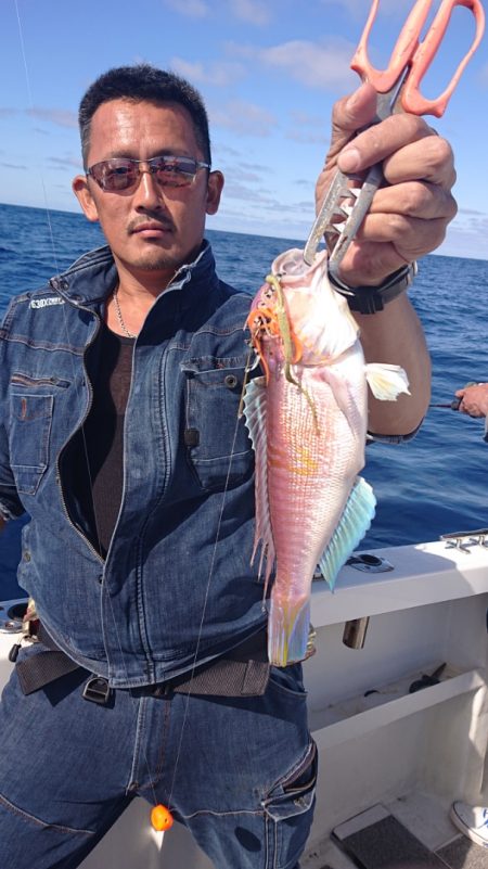 ARCADIAⅡ (アルカディアⅡ) 釣果