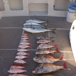 ARCADIAⅡ (アルカディアⅡ) 釣果