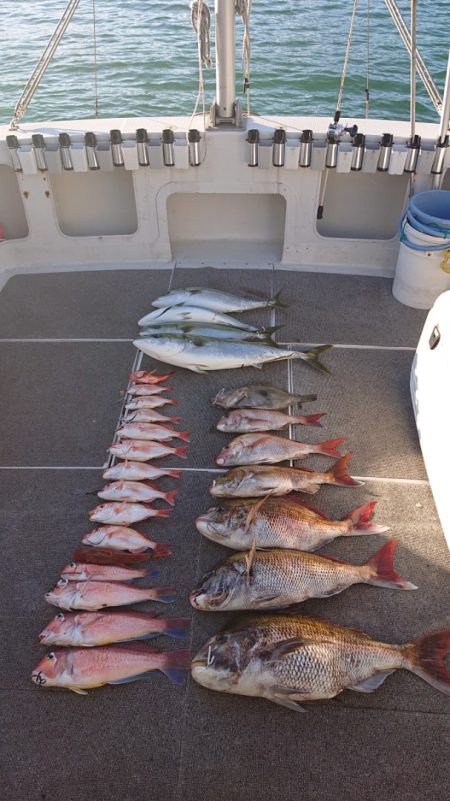 ARCADIAⅡ (アルカディアⅡ) 釣果