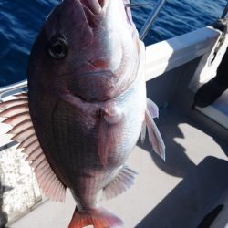 遊漁船ブルーウッズ 釣果