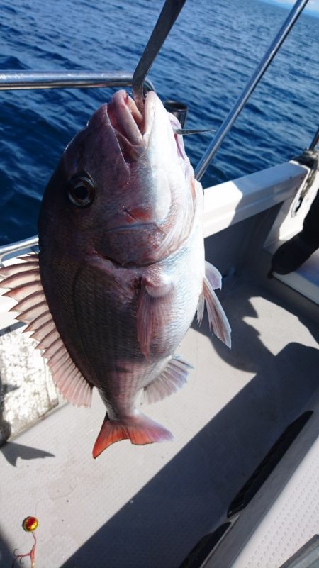 遊漁船ブルーウッズ 釣果