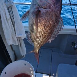 遊漁船ブルーウッズ 釣果