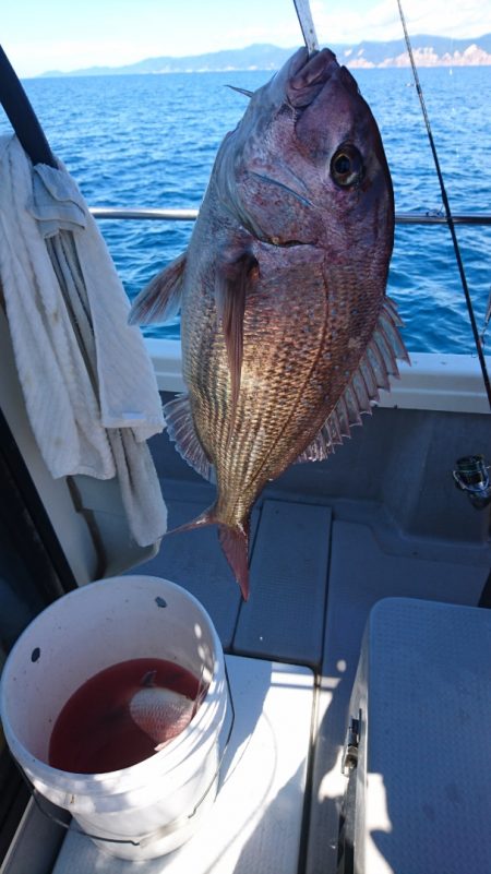 遊漁船ブルーウッズ 釣果
