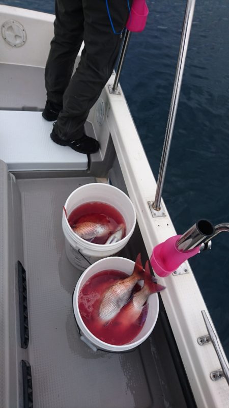 遊漁船ブルーウッズ 釣果