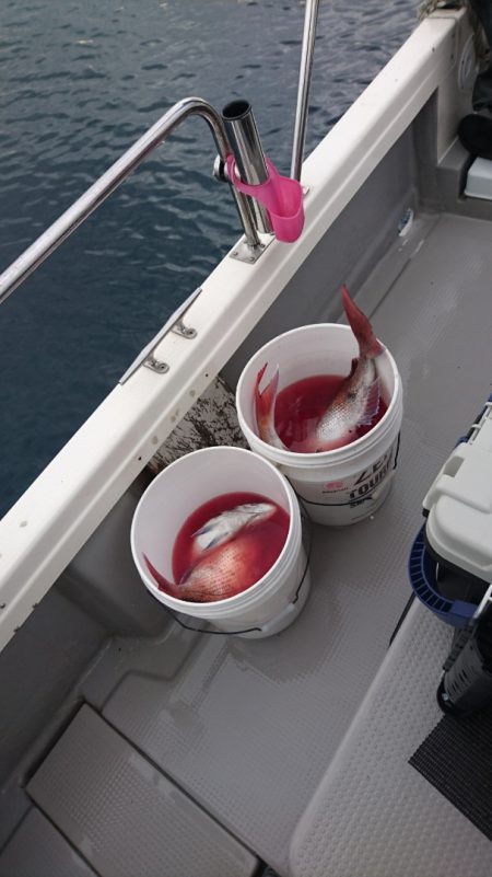 遊漁船ブルーウッズ 釣果