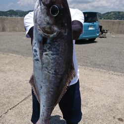 第三共栄丸 釣果